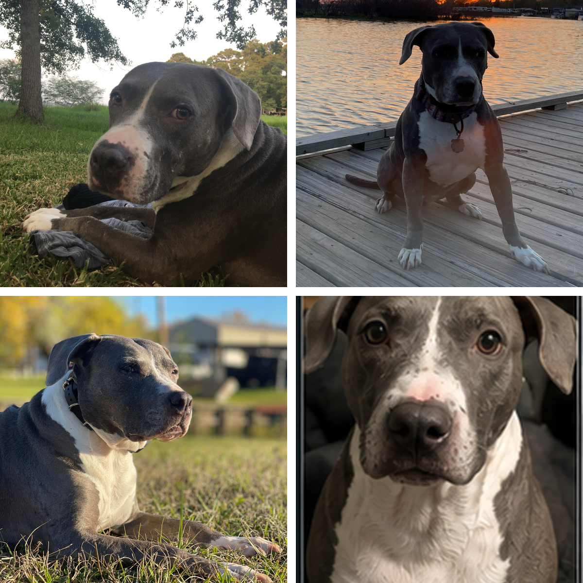 Four approved original photographs of Rae Rae